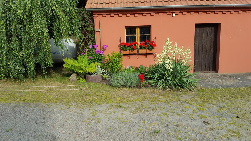 Storchennest Apartment Grosswudicke Exterior photo
