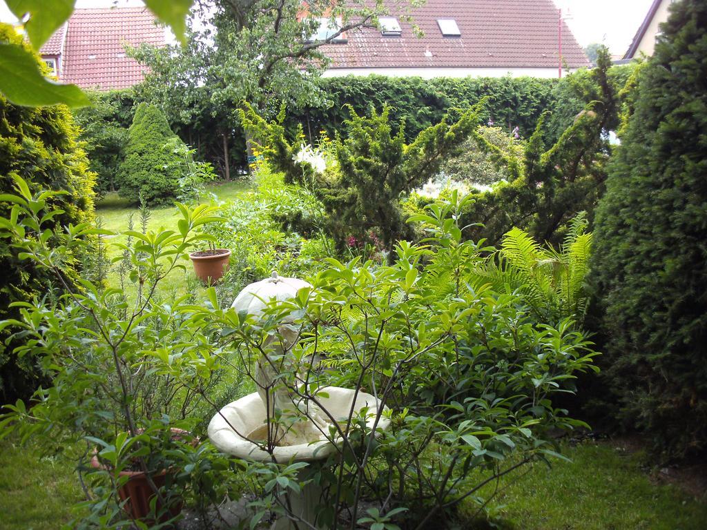 Storchennest Apartment Grosswudicke Exterior photo